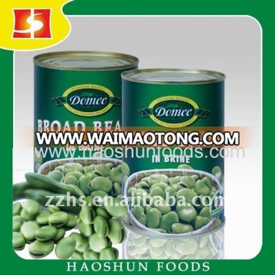 Canned Broad Beans In Brine Fresh Canned Beans